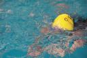Hillingdon swimmers make a splash for charity