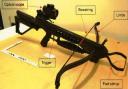 Potentially lethal: the hunting crossbow used by Ramdeen
