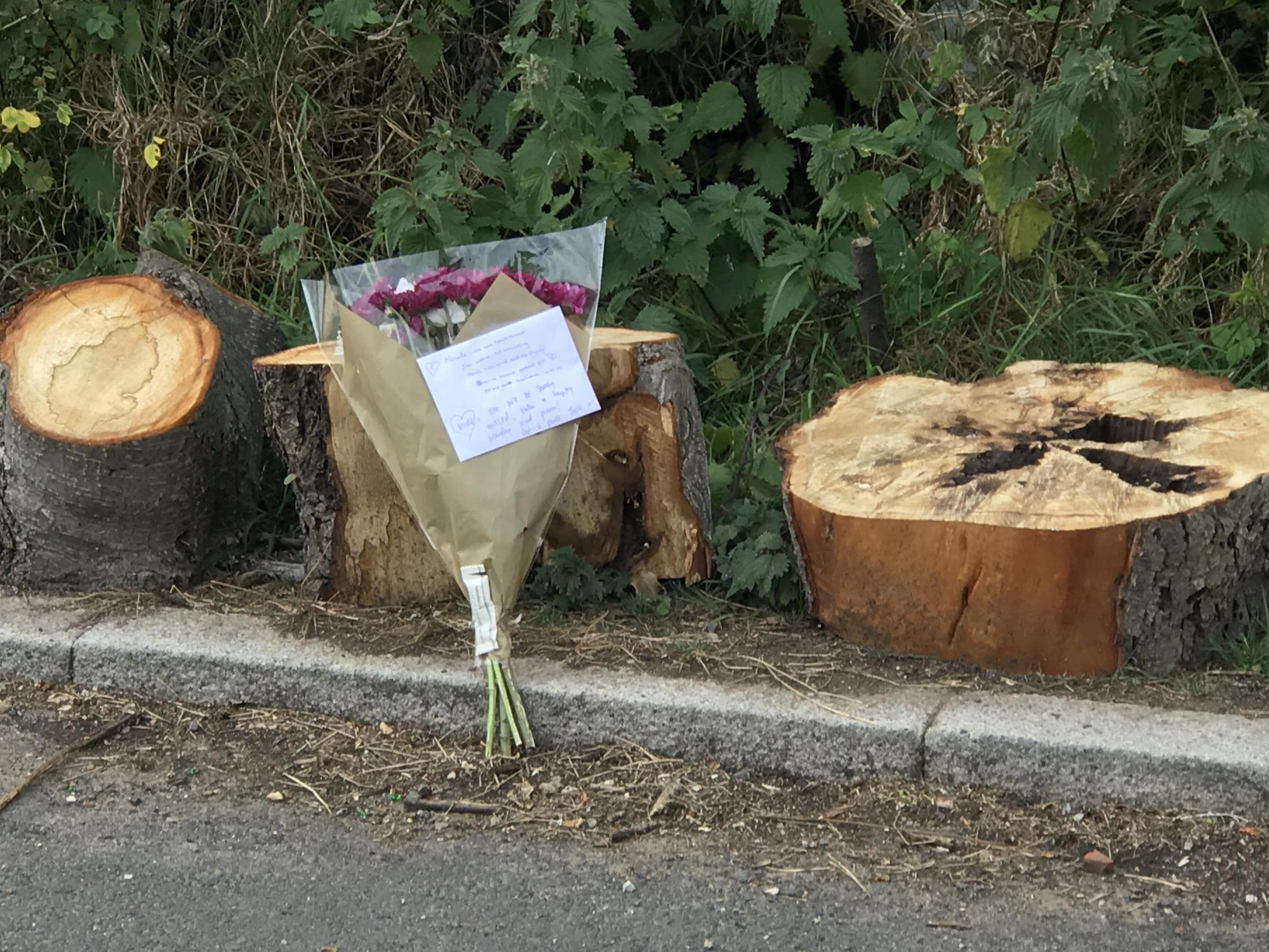 Flowers left at the scene at Fryent Country Park in Wembley where police found two bodies, June 8 2020. See National News story SWNNbodies. Murder Squad cops are investigating after the bodies of two women were found in a London park. The grim discovery