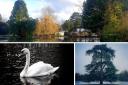 Some of this weeks Watford Observer Camera Club photos
