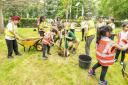 Hive of activity: young planters get stuck in at the Nestles Avenue site