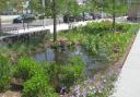 Run-off: rain gardens collect surface water after flash flooding