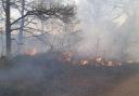 Grass fires: advice is to avoid tackling them and call the brigade