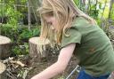 Wild about nature: the trust wants to work with schools in the borough