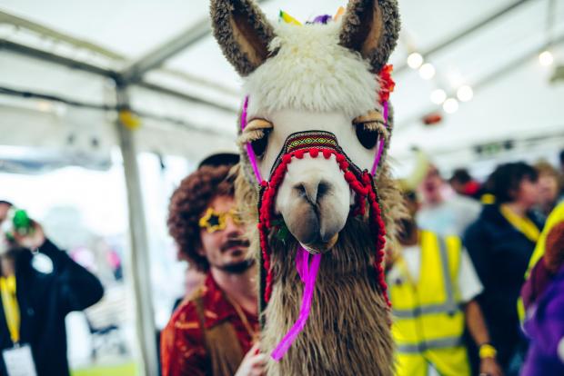 Hillingdon Times: Theatre Royal Plymouth's Funky Llama Festival continues to be a rousing success for disabled and non-able bodied people. Credit: Dom Moore