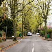 Celebrate with a tree: Hillingdon's gift idea
