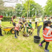 Hive of activity: young planters get stuck in at the Nestles Avenue site
