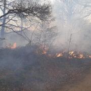 Grass fires: advice is to avoid tackling them and call the brigade