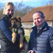 Familiar caller: David Simmons MP regularly visits the Harefield rehoming centre