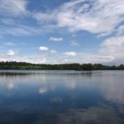 Haven for wildlife: Broadwater Lake