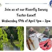 Hands-on with the riverflies at Denham Country Park