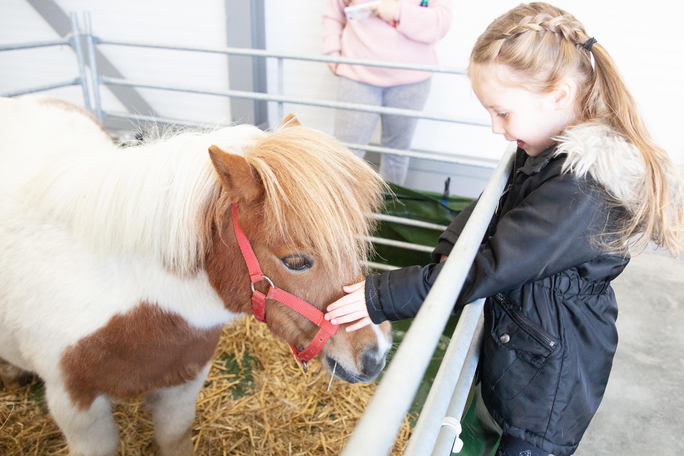 'I didn't know mummy had these at work' - business park holds Easter farm day